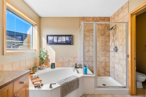 60 Cranfield Place Se, Calgary, AB - Indoor Photo Showing Bathroom