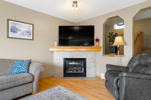 60 Cranfield Place Se, Calgary, AB - Indoor Photo Showing Living Room With Fireplace