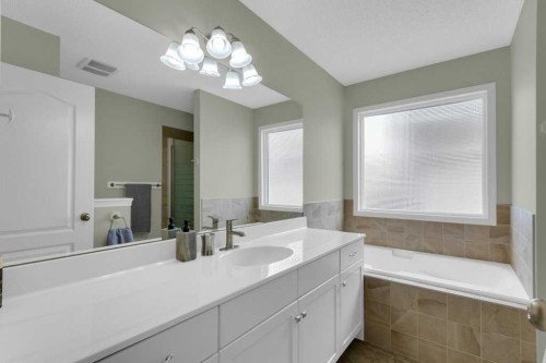 47 Cramond Green Se, Calgary, AB - Indoor Photo Showing Bathroom