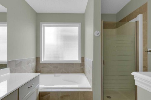 47 Cramond Green Se, Calgary, AB - Indoor Photo Showing Bathroom
