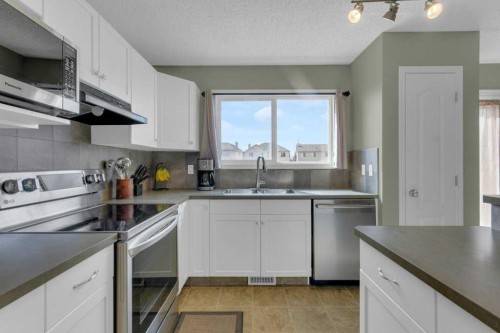 47 Cramond Green Se, Calgary, AB - Indoor Photo Showing Kitchen With Double Sink