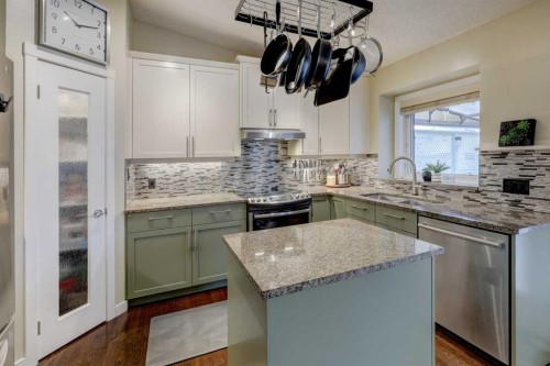19 Riverstone Crescent Se, Calgary, AB - Indoor Photo Showing Kitchen With Double Sink With Upgraded Kitchen
