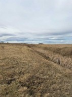 W 4 Range 25 Twp 24 Section 35 NE Rural Wheatland County, AB T1P 0J1