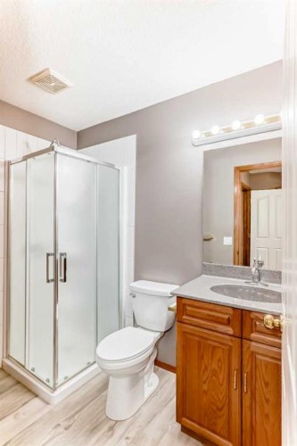 11-33 Stonegate Drive Nw, Airdrie, AB - Indoor Photo Showing Bathroom