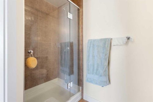 1009-8880 Horton Road Sw, Calgary, AB - Indoor Photo Showing Bathroom