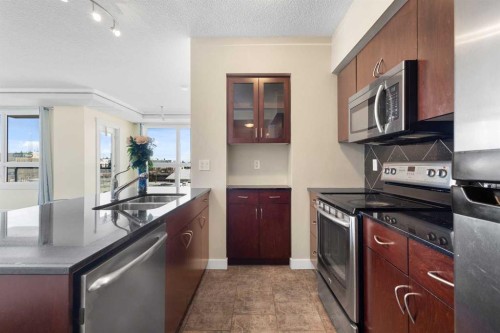 1009-8880 Horton Road Sw, Calgary, AB - Indoor Photo Showing Kitchen With Stainless Steel Kitchen With Double Sink