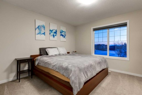 123 Drake Landing Loop, Okotoks, AB - Indoor Photo Showing Bedroom