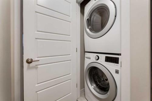 123 Drake Landing Loop, Okotoks, AB - Indoor Photo Showing Laundry Room