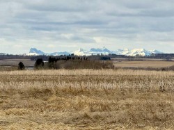 RR 35 North of TWP 304 Rural Mountain View County, AB T0M 0R0