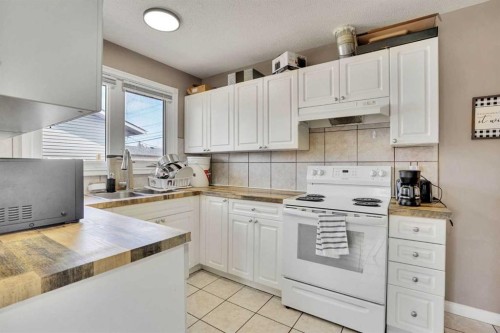 1004 Penrith Crescent Se, Calgary, AB - Indoor Photo Showing Kitchen With Double Sink