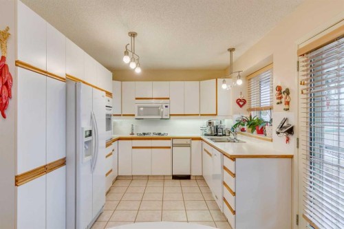 8 Douglas Woods View Se, Calgary, AB - Indoor Photo Showing Kitchen With Double Sink