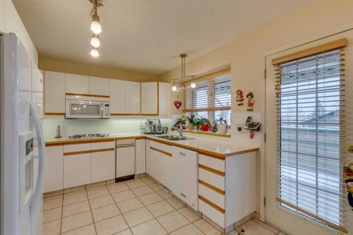 8 Douglas Woods View Se, Calgary, AB - Indoor Photo Showing Kitchen With Double Sink