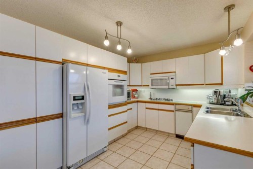 8 Douglas Woods View Se, Calgary, AB - Indoor Photo Showing Kitchen With Double Sink