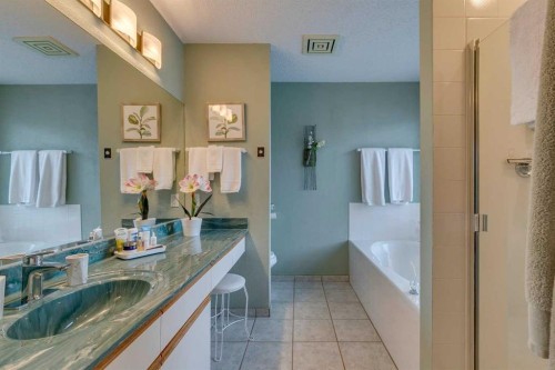 8 Douglas Woods View Se, Calgary, AB - Indoor Photo Showing Bathroom