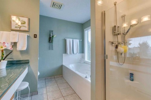 8 Douglas Woods View Se, Calgary, AB - Indoor Photo Showing Bathroom