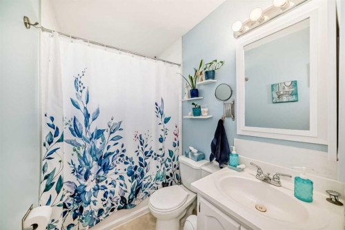 3772 Dover Ridge Drive Se, Calgary, AB - Indoor Photo Showing Bathroom