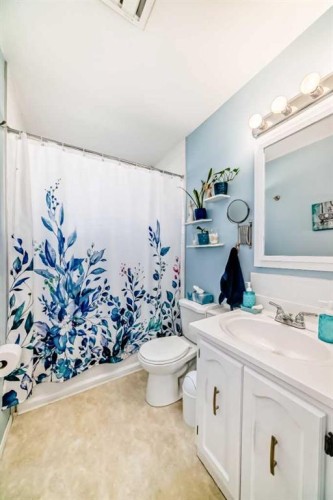 3772 Dover Ridge Drive Se, Calgary, AB - Indoor Photo Showing Bathroom