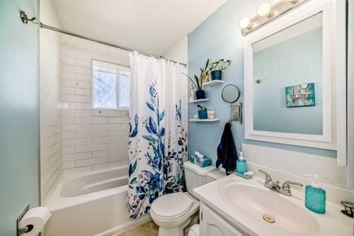 3772 Dover Ridge Drive Se, Calgary, AB - Indoor Photo Showing Bathroom