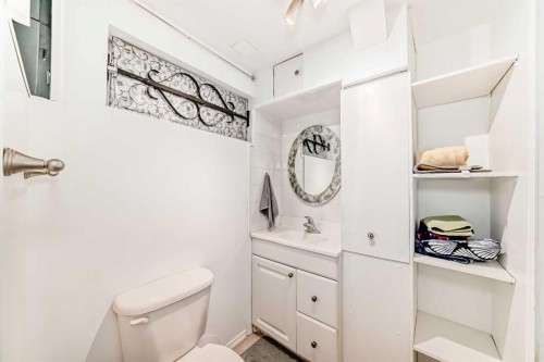 3772 Dover Ridge Drive Se, Calgary, AB - Indoor Photo Showing Bathroom