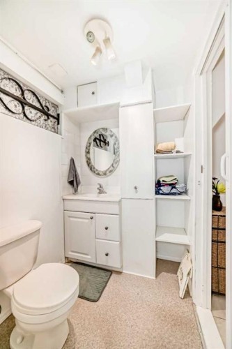 3772 Dover Ridge Drive Se, Calgary, AB - Indoor Photo Showing Bathroom