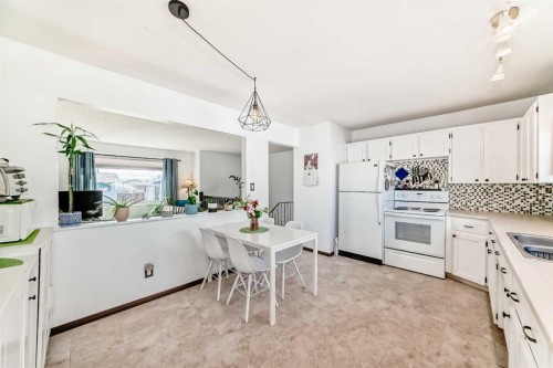 3772 Dover Ridge Drive Se, Calgary, AB - Indoor Photo Showing Kitchen With Double Sink