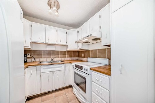 47 Templemont Drive Ne, Calgary, AB - Indoor Photo Showing Kitchen With Double Sink
