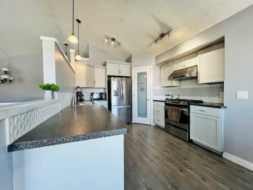 125 Saddlebrook Circle Ne, Calgary, AB - Indoor Photo Showing Kitchen With Upgraded Kitchen