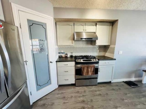 125 Saddlebrook Circle Ne, Calgary, AB - Indoor Photo Showing Kitchen With Upgraded Kitchen