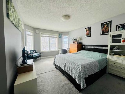 125 Saddlebrook Circle Ne, Calgary, AB - Indoor Photo Showing Bedroom