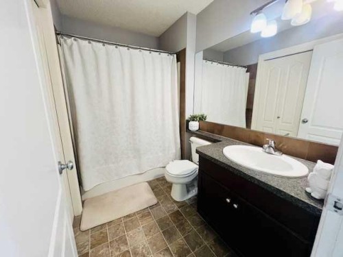 125 Saddlebrook Circle Ne, Calgary, AB - Indoor Photo Showing Bathroom