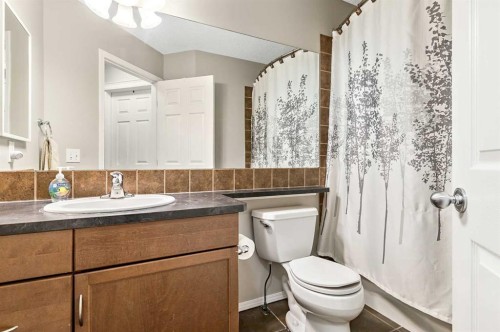 18 Copperstone Link Se, Calgary, AB - Indoor Photo Showing Bathroom