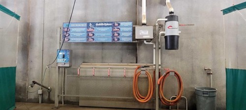 126 Queens Drive, Red Deer, AB 