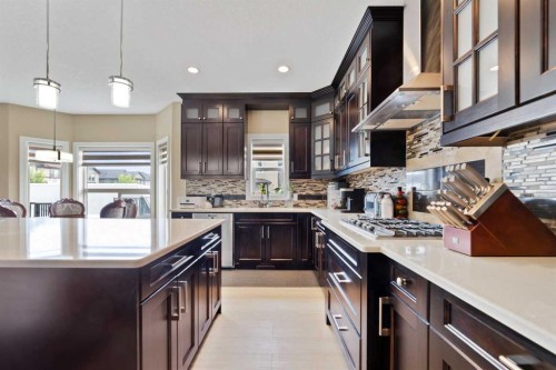 150 Saddlelake Grove Ne, Calgary, AB - Indoor Photo Showing Kitchen With Upgraded Kitchen