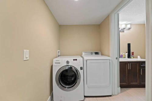 150 Saddlelake Grove Ne, Calgary, AB - Indoor Photo Showing Laundry Room