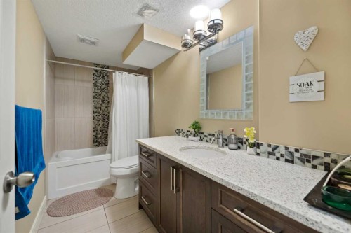 150 Saddlelake Grove Ne, Calgary, AB - Indoor Photo Showing Bathroom