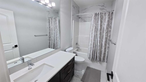 144 Red Embers Square Ne, Calgary, AB - Indoor Photo Showing Bathroom