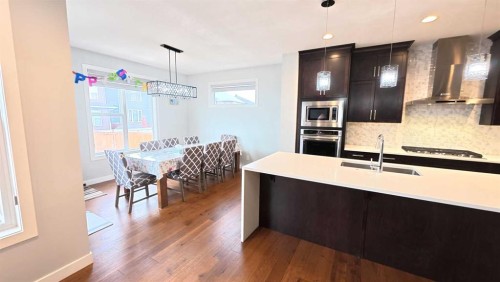 144 Red Embers Square Ne, Calgary, AB - Indoor Photo Showing Kitchen With Double Sink With Upgraded Kitchen