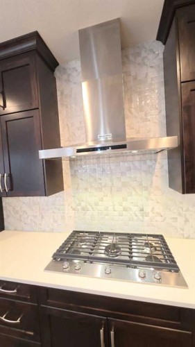 144 Red Embers Square Ne, Calgary, AB - Indoor Photo Showing Kitchen With Upgraded Kitchen