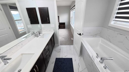 144 Red Embers Square Ne, Calgary, AB - Indoor Photo Showing Bathroom