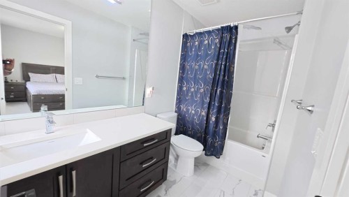 144 Red Embers Square Ne, Calgary, AB - Indoor Photo Showing Bathroom