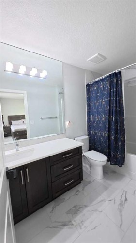 144 Red Embers Square Ne, Calgary, AB - Indoor Photo Showing Bathroom
