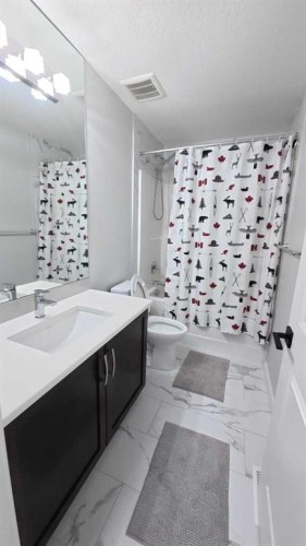 144 Red Embers Square Ne, Calgary, AB - Indoor Photo Showing Bathroom