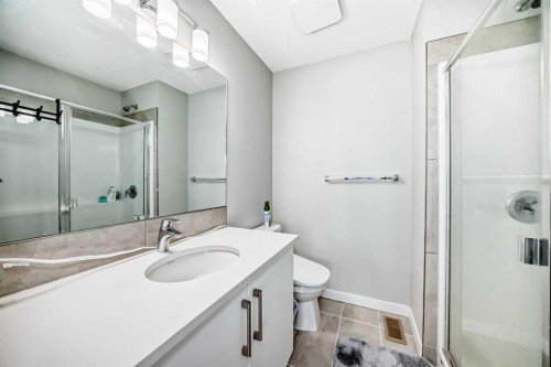 806-32 Red Embers Parade Ne, Calgary, AB - Indoor Photo Showing Bathroom