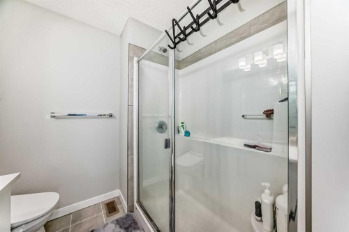 806-32 Red Embers Parade Ne, Calgary, AB - Indoor Photo Showing Bathroom