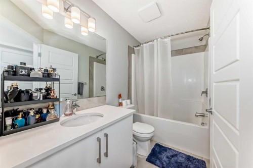 806-32 Red Embers Parade Ne, Calgary, AB - Indoor Photo Showing Bathroom