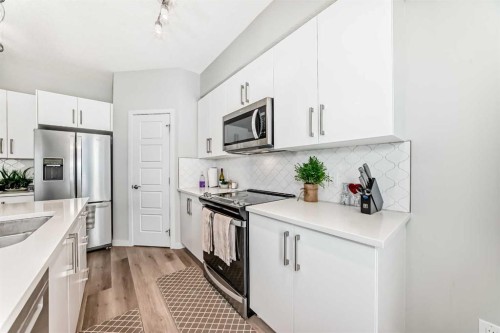 806-32 Red Embers Parade Ne, Calgary, AB - Indoor Photo Showing Kitchen With Stainless Steel Kitchen With Upgraded Kitchen
