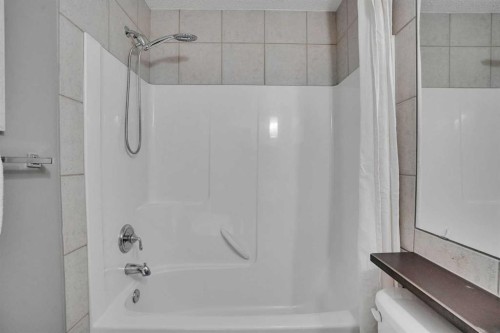 274 Everoak Drive Sw, Calgary, AB - Indoor Photo Showing Bathroom