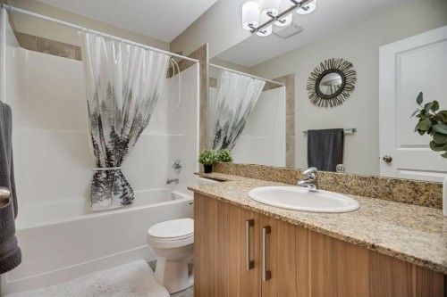 124-300 Marina Drive, Chestermere, AB - Indoor Photo Showing Bathroom