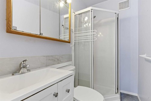 4008 36 Street Nw, Calgary, AB - Indoor Photo Showing Bathroom