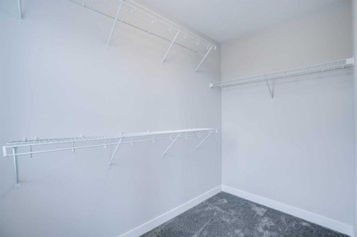 77 Calhoun Crescent Ne, Calgary, AB - Indoor With Storage